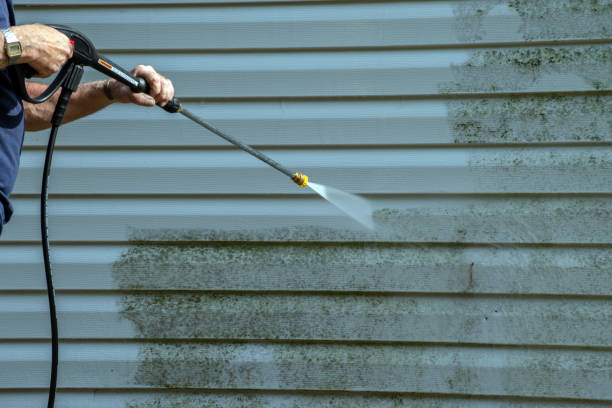 Best Deck Pressure Washing  in Olean, NY